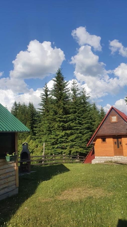 Bungalows Krstajic Žabljak Extérieur photo