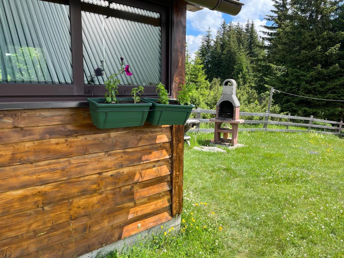 Bungalows Krstajic Žabljak Extérieur photo