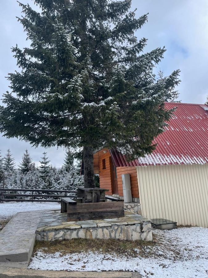 Bungalows Krstajic Žabljak Extérieur photo