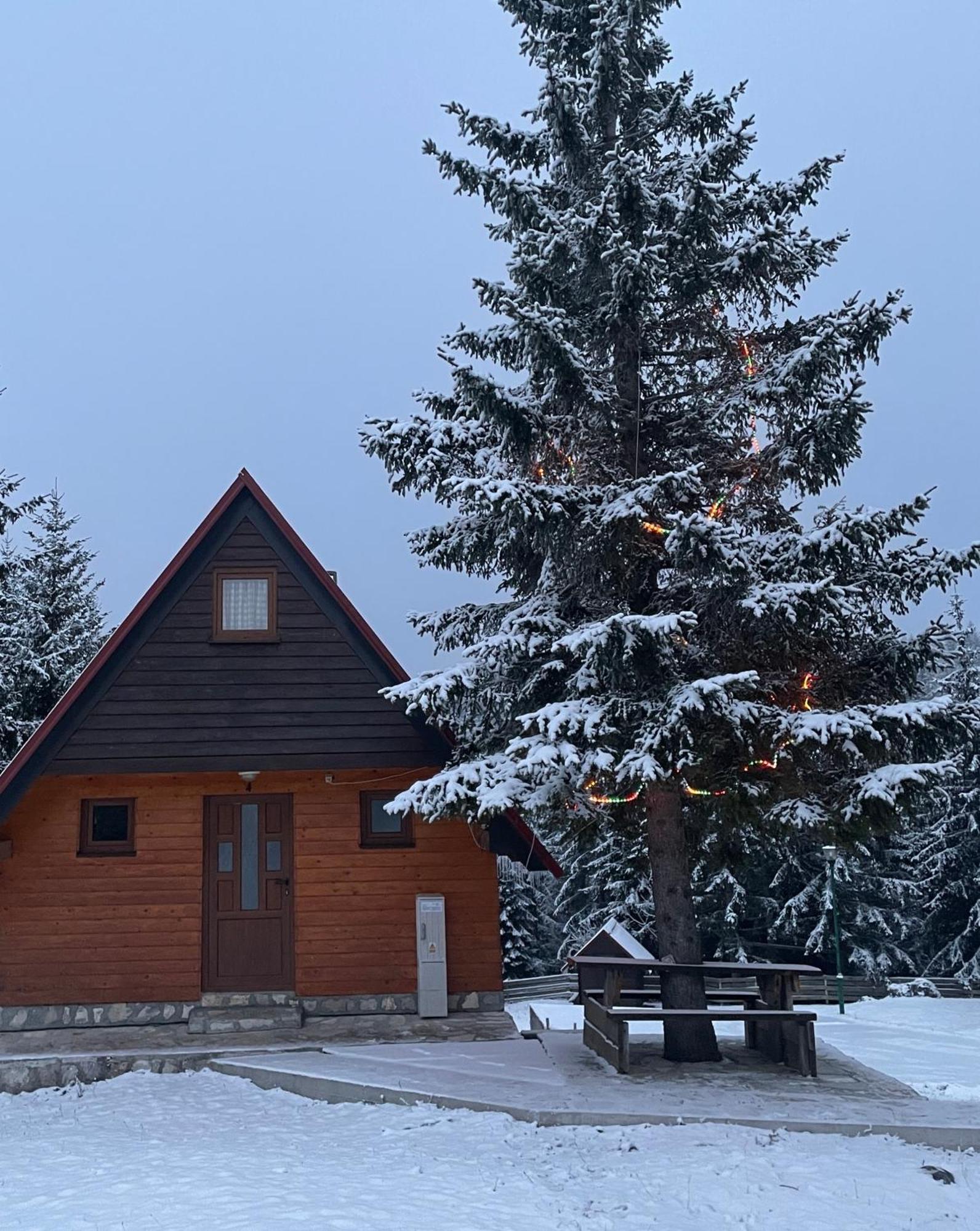 Bungalows Krstajic Žabljak Extérieur photo